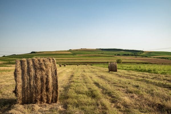 Szkolenia i edukacja w zakresie rolnictwa precyzyjnego