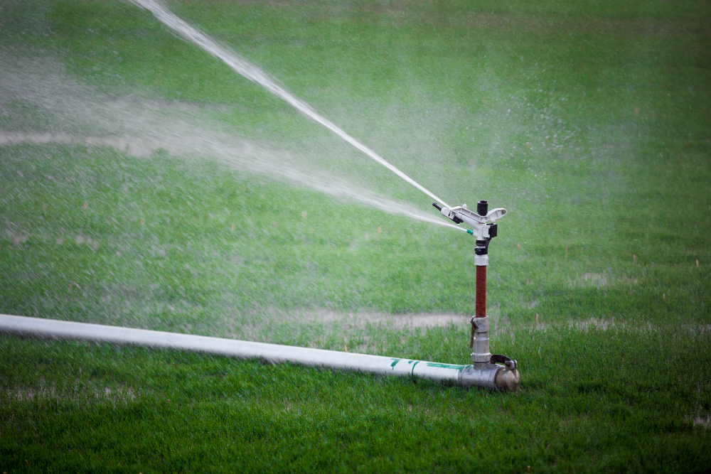 Innowacje w technologiach zbioru plonów ekologicznych