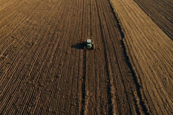 Porównanie efektywności tradycyjnych i nowoczesnych metod sadownictwa